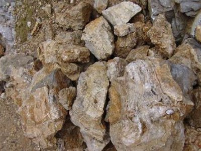 ȫ���\���V���a(ch��n)��r����