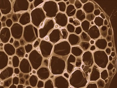 CO2�T����׃���̲��� �ɹ��Ƃ��Ҝ��F���԰댧�w