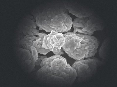 ȫ��늳ؾ��^�°l711�|������Oӆ�Σ�