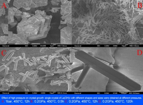 һ���˽�o�C�ϳ��c�Ƃ仯�W�������c�����