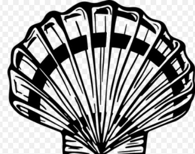 δ���֙C�������飡ؐ�����������Բ��ɴ�