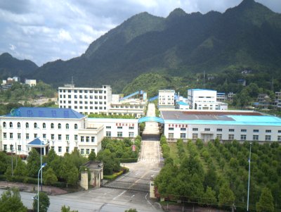 ��Ʒ�|(zh��)��΢�۵đ�(y��ng)�ìF(xi��n)���c�l(f��)չڅ��