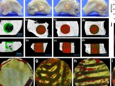 �Ϻ������}���������մ��I���٫@��Ҫ�Mչ