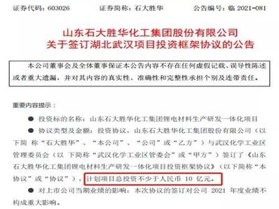 ʯ����A���Y10�|Ͷ���늲����(xi��ng)Ŀ��