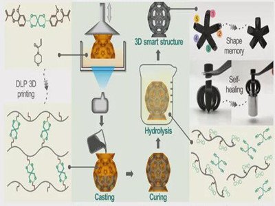 ���������̻�3D��ӡ���ܽY���о��@���Mչ