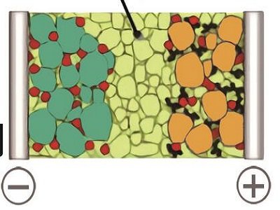 �o�C�̑B�c�x��늳�늽��|һ�[