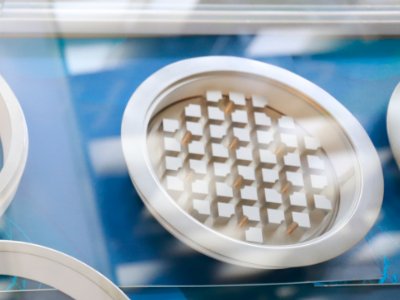 ��С���ˡ����ι���������մ���I�@�u���������¡���I