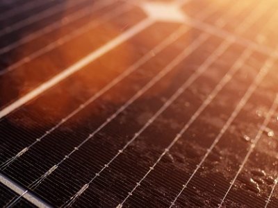 2020���������ИI(y��)�о����