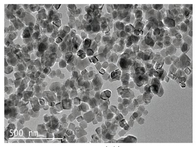 �������M̼���}�a�I�����g�F���c�������c����