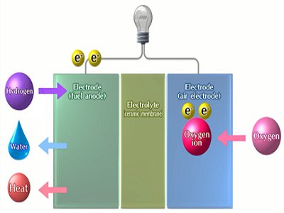 ������ȼ��늳�-SOFC