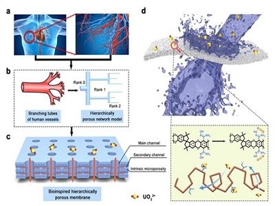 �����ˆT���÷����ּ����Ĥ���F��Ч��ˮ���