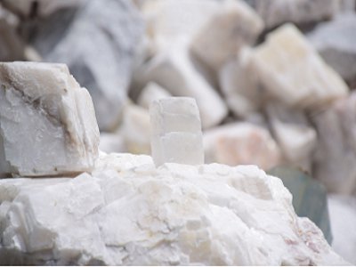 2021�B��̼���}�a�I�lչ���b������I����������������d�cϣ����