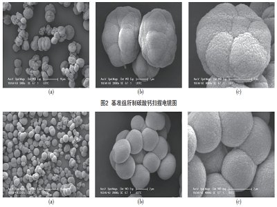 ̼���}��ò���ơ������A��Ƭ��ᘡ�����朡���ô�ܡ��S׃�����أ�