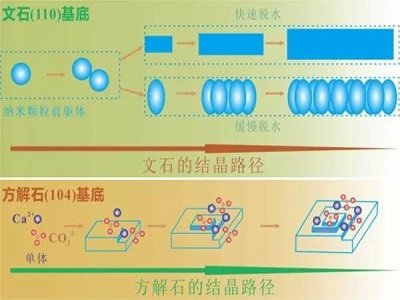 ����ʮ���塱ԭ���Ϲ��I(y��)�l(f��)չҎ(gu��)�����l(f��)����̼���}����ӡ��ǽ��ٷ��w���ϰl(f��)չ�@3�N���g��