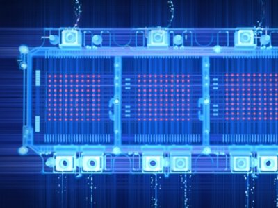 �ȁ��ϰ댧(d��o)�wӭ�װl(f��)�ϕ�(hu��)�������(g��)�a(ch��n)Ʒ�_(d��)���ИI(y��)�I(l��ng)��ˮƽ��