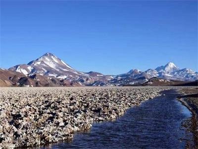 ���缉(j��)�}����(xi��ng)Ŀ��ɽ��� �Ͻ�V�I(y��)�_������Դ����ِ����