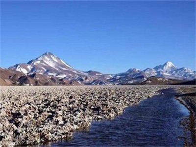 �늲����܈󣺡�䇡���δ����������䇵V���л����~���P�Iһ��