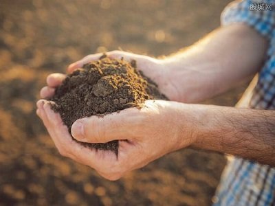 �ɱ����졢�F؛�yҒ ϡ���r�����ϝq