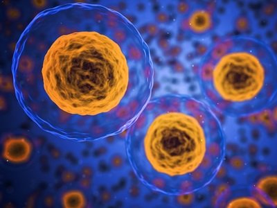 �Ї����șC ���o�oץס����Լ��g��