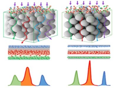 �{΢�Ƽ����˴��g��ע�����ܼ{��΢�򣬴����Ї���о������