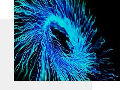 �{��̼���}��(sh��)�F(xi��n)��䇡��롪����Q늳�֦�����L�ͽ��渱����(y��ng)�ɴ��y�}