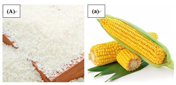 �¾��ڄ��� | �Zʳ���۵���R΢�^��ò