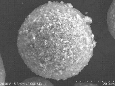 ��؛ | �������w�������̎����14�N����