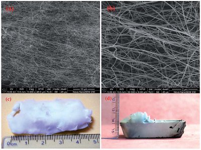 һ���˽⵪����{�׾�