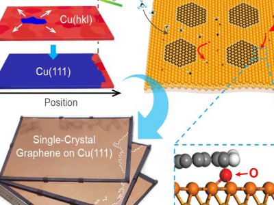 ���ҷ�Ժʿ�F꠽��ڳɹ����\