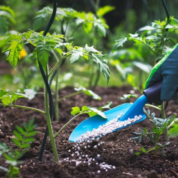 �����c�ͷ����е��Ĝy(c��)��