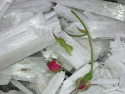 ���ʯ�۵��Ƃ�͑���