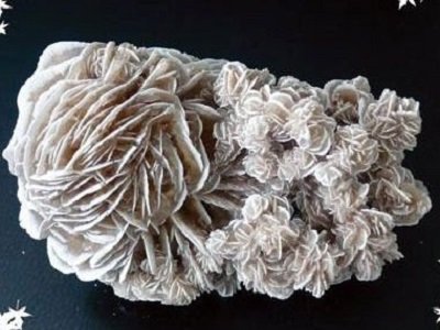 �\���ǽ��ٵV����w������Լ��g(sh��)�F(xi��n)��