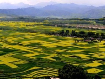 ��Ͷ�Y3770�|Ԫ 2022���ຣʡ���c�����Ŀ���t