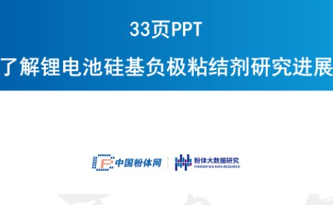 33�PPT�˽��늳ع��ؓ�Oճ�Y���о��Mչ