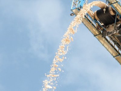 һ���˽�񷨳������鼼�g���O��