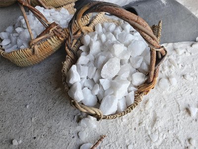 20�����|�Ŀ�F������ ���߼�ʯӢɰ�Ƃ��Ŀ�@�^��