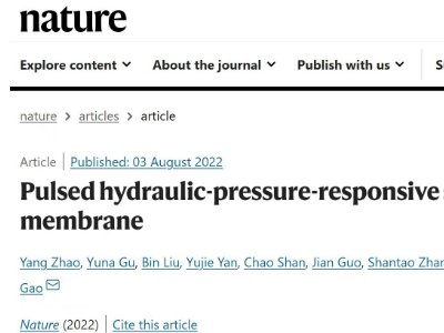 �Ͼ���W�߹ڵ������n�}�M Nature�����坍����մɞVĤ