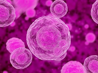 ���ɼ��������ˡ��{��̼���}�����DNA���ˣ�