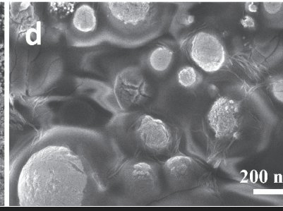 �մ��¼�������?c��)Ტ�? width=