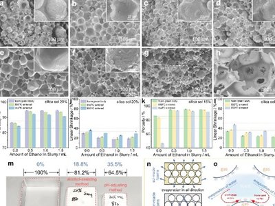 ���A��W�ڰl���մ��I��ȡ���Mչ