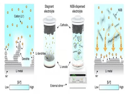 䇽���늳ؐ��L֦�����n���ƌW(xu��)�����á��ӑB(t��i)늽��|(zh��)���p�ɽ�Q