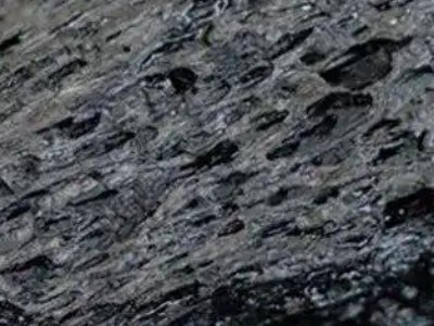 2022����w�ИI��P�c��̿����ƪ