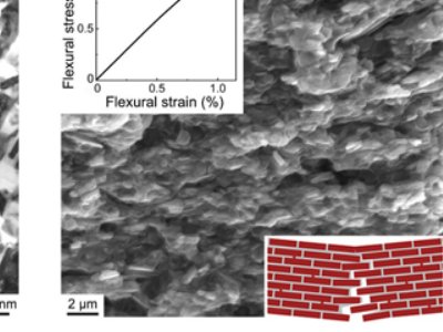 �Ї��ƌWԺ�����о����l��һ�N�p�|�ߏ��g�������V-MAX����������մ�