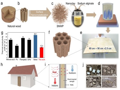 �����Ժʿ�F�2022��ȿ��гɹ����\