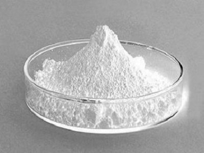 2022���Ї�̼���}�M������r