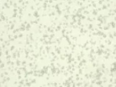 ������X���²��Ϲ����̣��m��h���µV�I�Ƽ����v����ͨ