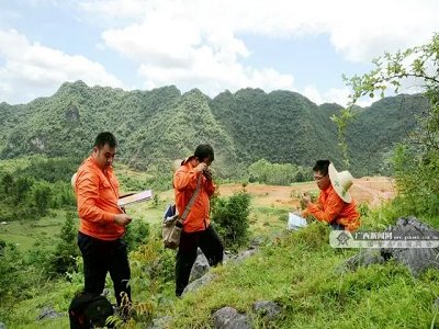 �V���ǽ����ҵV�ɹ��ύ������ʯ874.12�f����ʯ�Ҏr17.05�|����������ʯӢ3164.48�f����