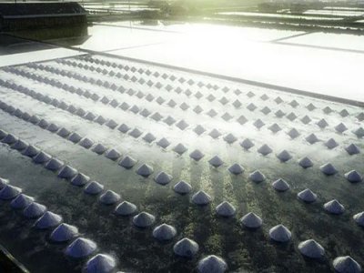 ����40�fԪ/����̼��䇣������Ǳ�����