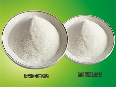 ��ע�zԭ+���|������2022�������ͬ�����L��200%