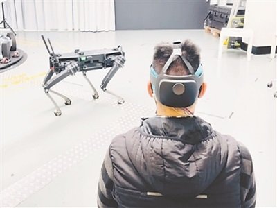 ʯīϩ������������������ơ��C����